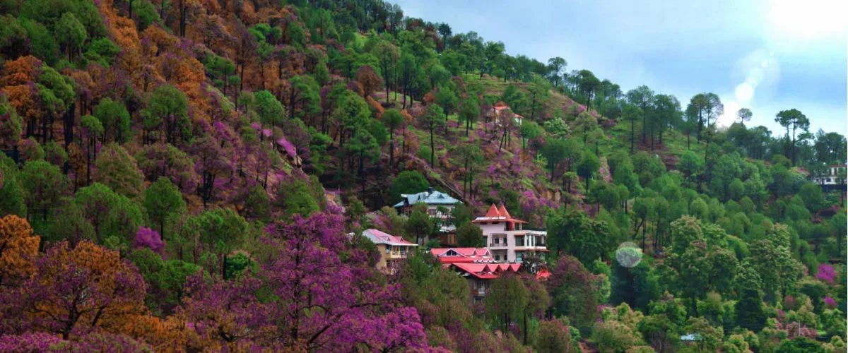 Top 12 Places to Visit in Kasauli Explore the Nature and Colonial Era